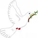 Dove