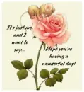 have a wonderful day