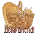 Hello Friend