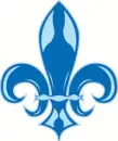 Flash it! fleur de lis