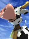 Funny Cow