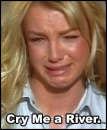 cry me a river