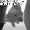 you said you'd never let go