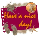 Have a nice summer day!