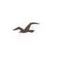 Hollister background