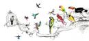 Birds