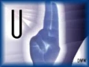 U