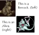 From Rescreatu