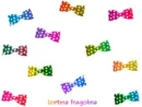 rainbow bow