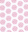 Pink Baby Flowers