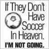 football in heaven