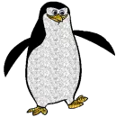 Madagascar Penguin