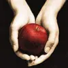 Stephanie meyer books