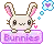 bunny