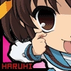 Haruhi