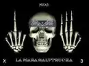 MS SKULL