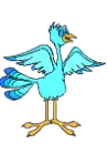 bird