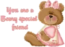 Beary Special friend