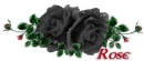 Rose&Black
