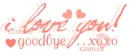 i love you!goodbye..xoxo