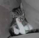 Sleepy