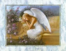 Sleeping Angel