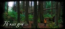 Bella alone in the woods "He was gone"