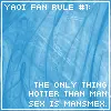 Yaoi Fan