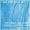 Yaoi Fan