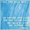 Yaoi Fan