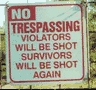 Shot