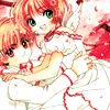 cardcaptor sakura