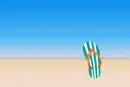 beach