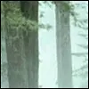 tosty on-oh-eight point nine