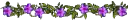 Purple Flower