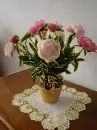 Peonia