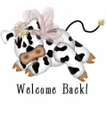 welcome