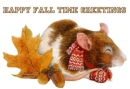FALL TIME GREETINGS