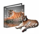 TIGER WITH A BOOK