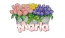 tulips in bucket with name Marla