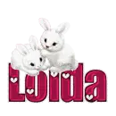 White Rabbits: Loida