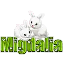 White Rabbits: Migdalia