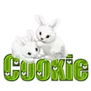 White Rabbits: Cookie