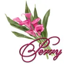 Pink Lily: Perry