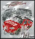 tony stewart