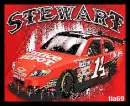 tony stewart