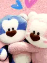 lover bear