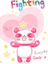 fighting  panda
