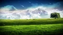 ..Beautiful