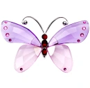 butterflay